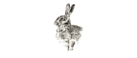 web services swamp rabbit media