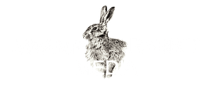 web services swamp rabbit media